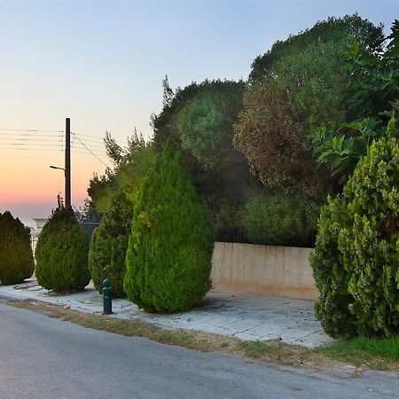 Luxury Villa Sea Melody Palaiá Fókaia Buitenkant foto